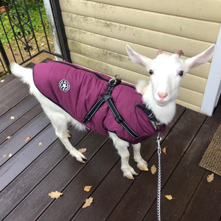 Winter Adventure Dog Coat: Waterproof, Harness-Compatible, And Stylish Pet Clothing-1