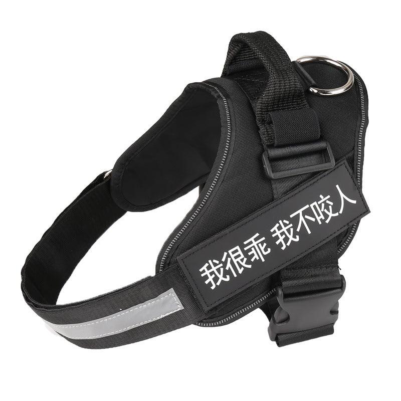 Ultimate Pet Adventure Chest Harness And Leash Set-1