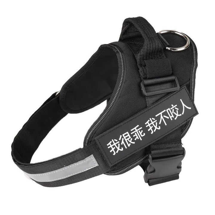 Ultimate Pet Adventure Chest Harness And Leash Set-1