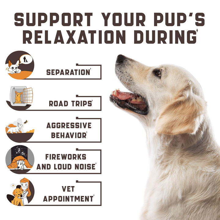 Calming Chews for Labrador Dogs with Valerian Root and Hemp Oil   Aid