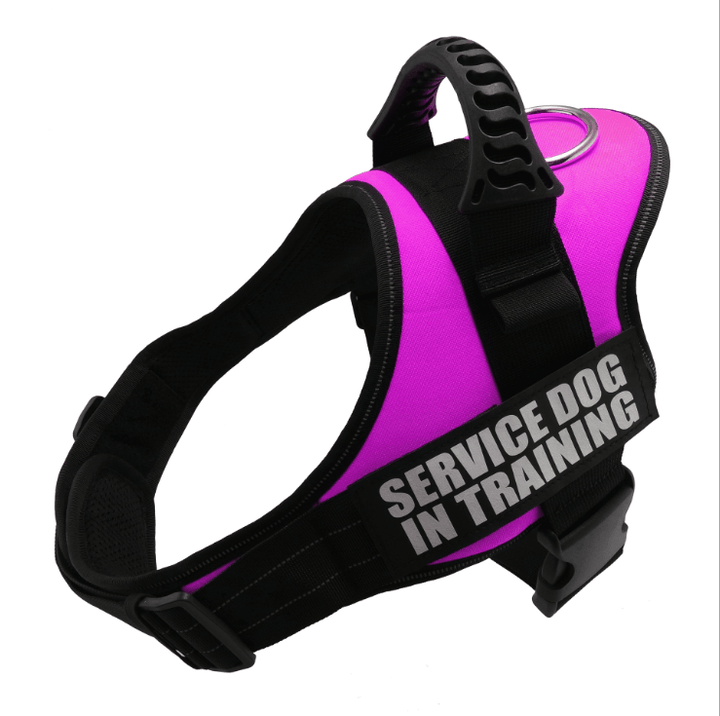 Explosafe Pet Leash: The Ultimate Safety Harness For Your Furry Friend-4