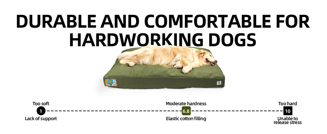 42 Inch Green Canvas Dog Bed with Removable Cover