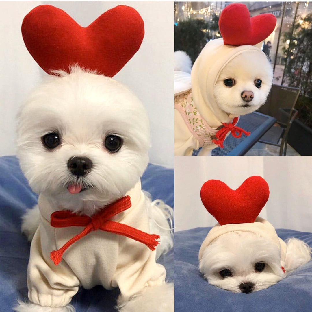 Cute Fruit Dog Hoodie – Warm Fleece Winter Clothes for Small Dogs, Cats, Chihuahua & Puppy Outfits