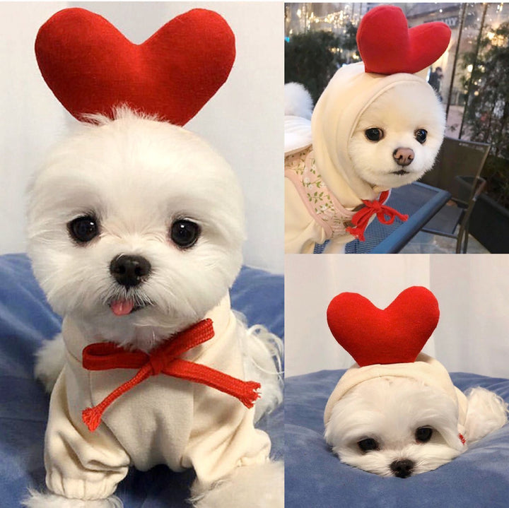 Cute Fruit Dog Hoodie – Warm Fleece Winter Clothes for Small Dogs, Cats, Chihuahua & Puppy Outfits