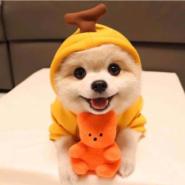 Cute Fruit Dog Hoodie – Warm Fleece Winter Clothes for Small Dogs, Cats, Chihuahua & Puppy Outfits