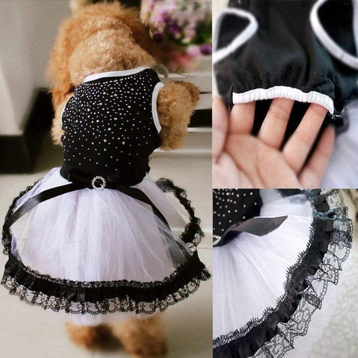 Spring And Summer Pet Fashion: Stylish Dog Clothing For A Trendy Season-2