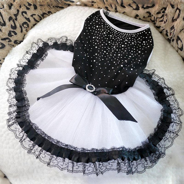 Spring And Summer Pet Fashion: Stylish Dog Clothing For A Trendy Season-0