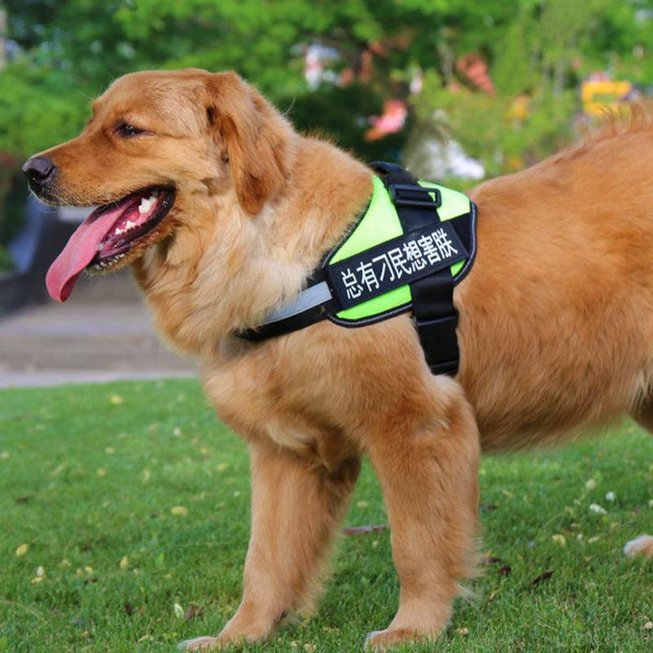 Ultimate Pet Adventure Chest Harness And Leash Set-2