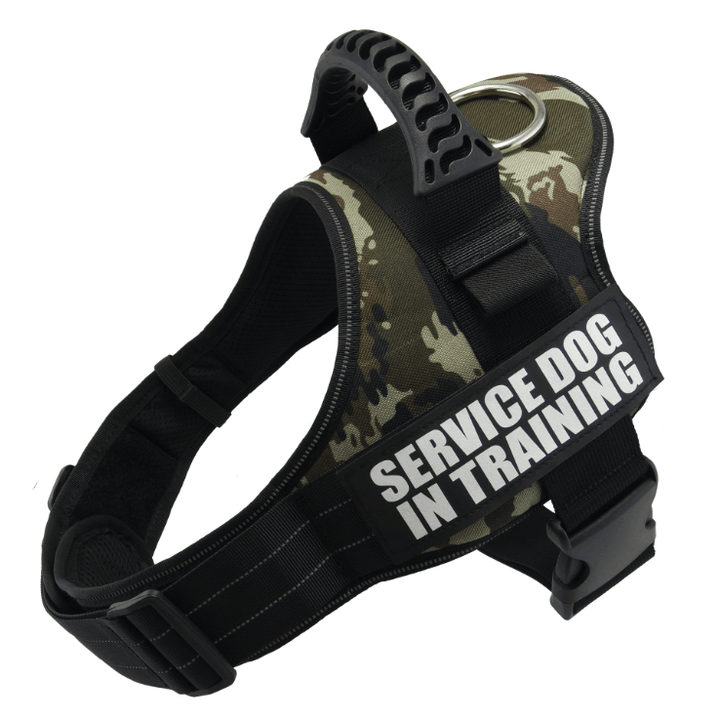 Explosafe Pet Leash: The Ultimate Safety Harness For Your Furry Friend-0