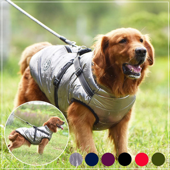 Winter Adventure Dog Coat: Waterproof, Harness-Compatible, And Stylish Pet Clothing-2