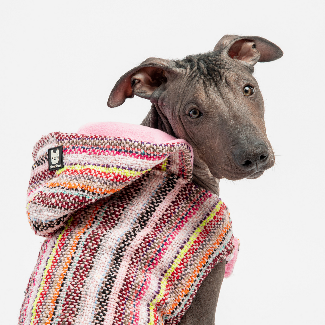 Baja Dog Poncho - Pink