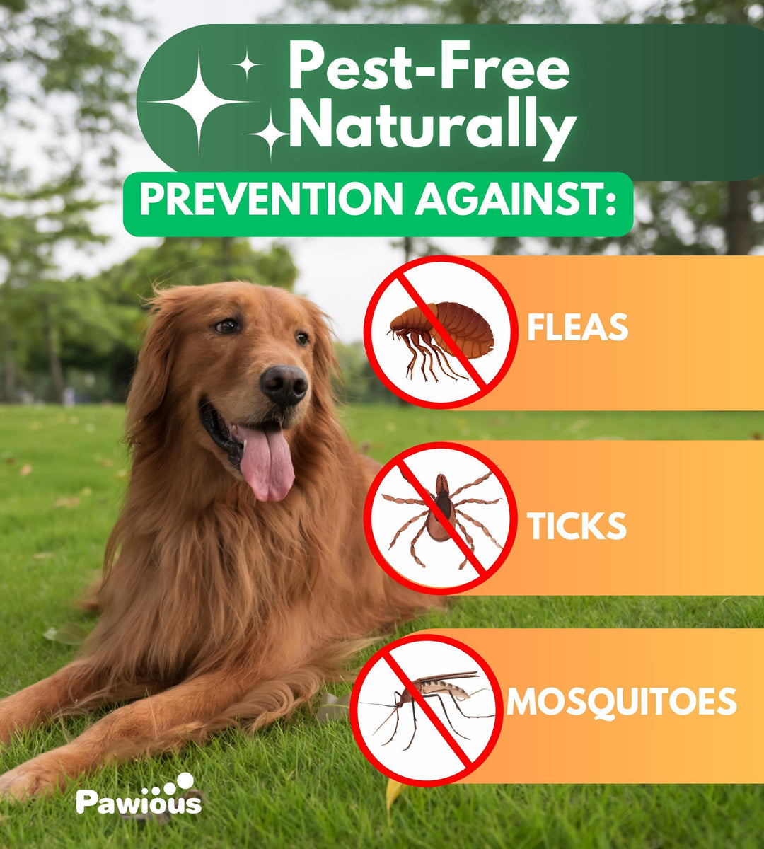 Flea and Tick Prevention for Dogs Chewables   Natural Dog Flea and