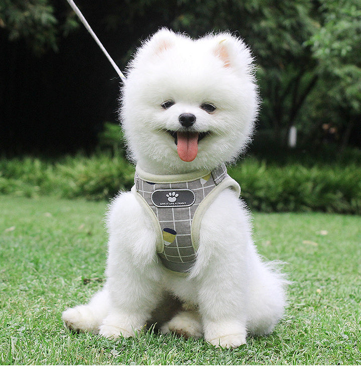 Plaid Dog Harness and Leash