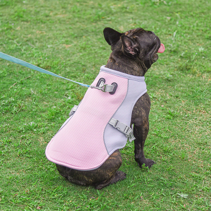 Summer Dog Cooling Vest – Breathable Outdoor Pet Jacket for Small & Medium Dogs | Lightweight Cooling Harness for Hot Weather