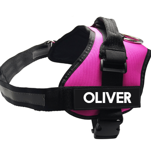 Ultimate Pet Adventure Chest Harness And Leash Set-0