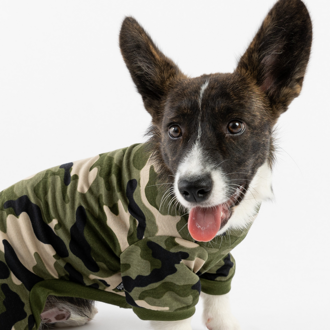 Dog Pajama - Camo