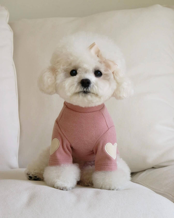 Autumn & Winter Dog Sweater – Embroidered Knit Pet Clothes for Small to Large Dogs