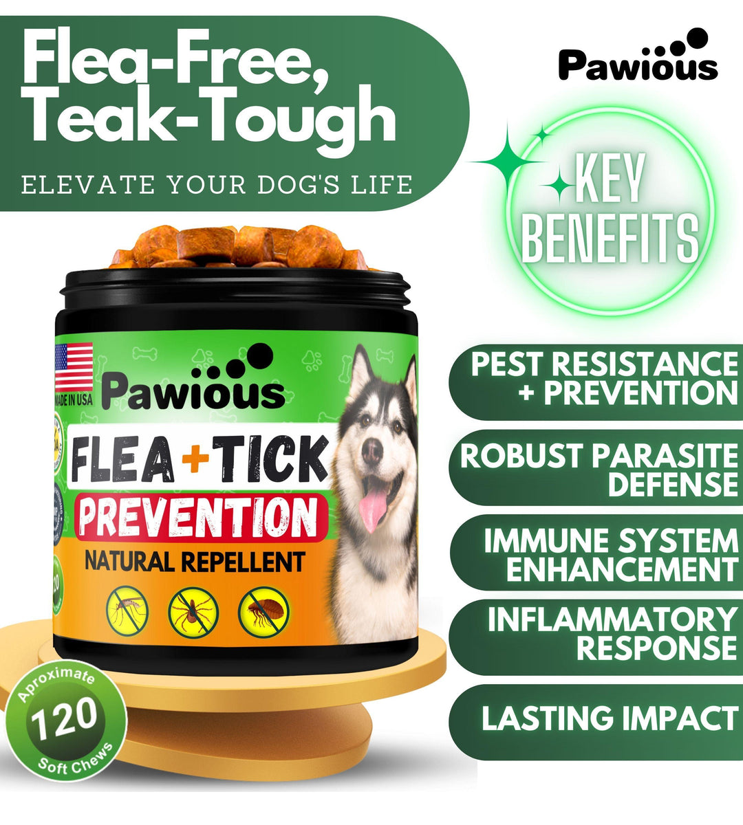 Flea and Tick Prevention for Dogs Chewables   Natural Dog Flea and