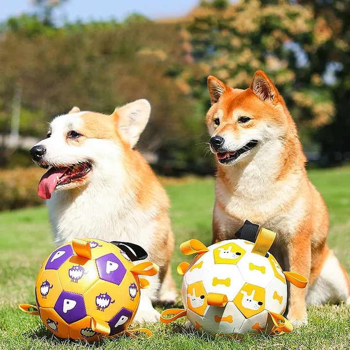 Interactive Dog Football – Durable, Sporty, & Bite-Resistant