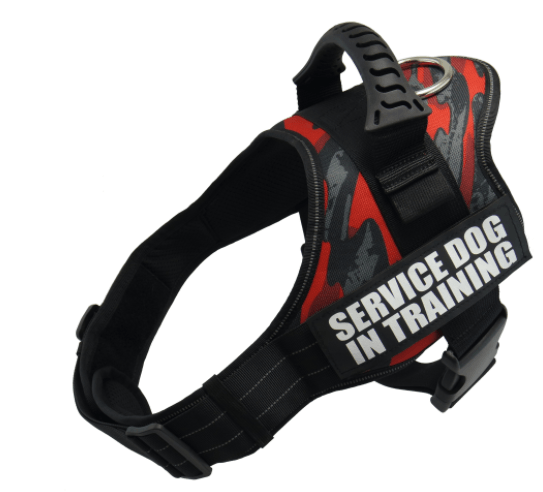 Explosafe Pet Leash: The Ultimate Safety Harness For Your Furry Friend-9