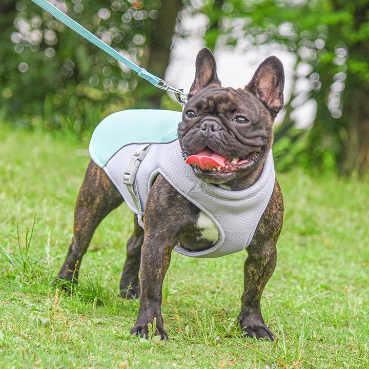 Summer Dog Cooling Vest – Breathable Outdoor Pet Jacket for Small & Medium Dogs | Lightweight Cooling Harness for Hot Weather