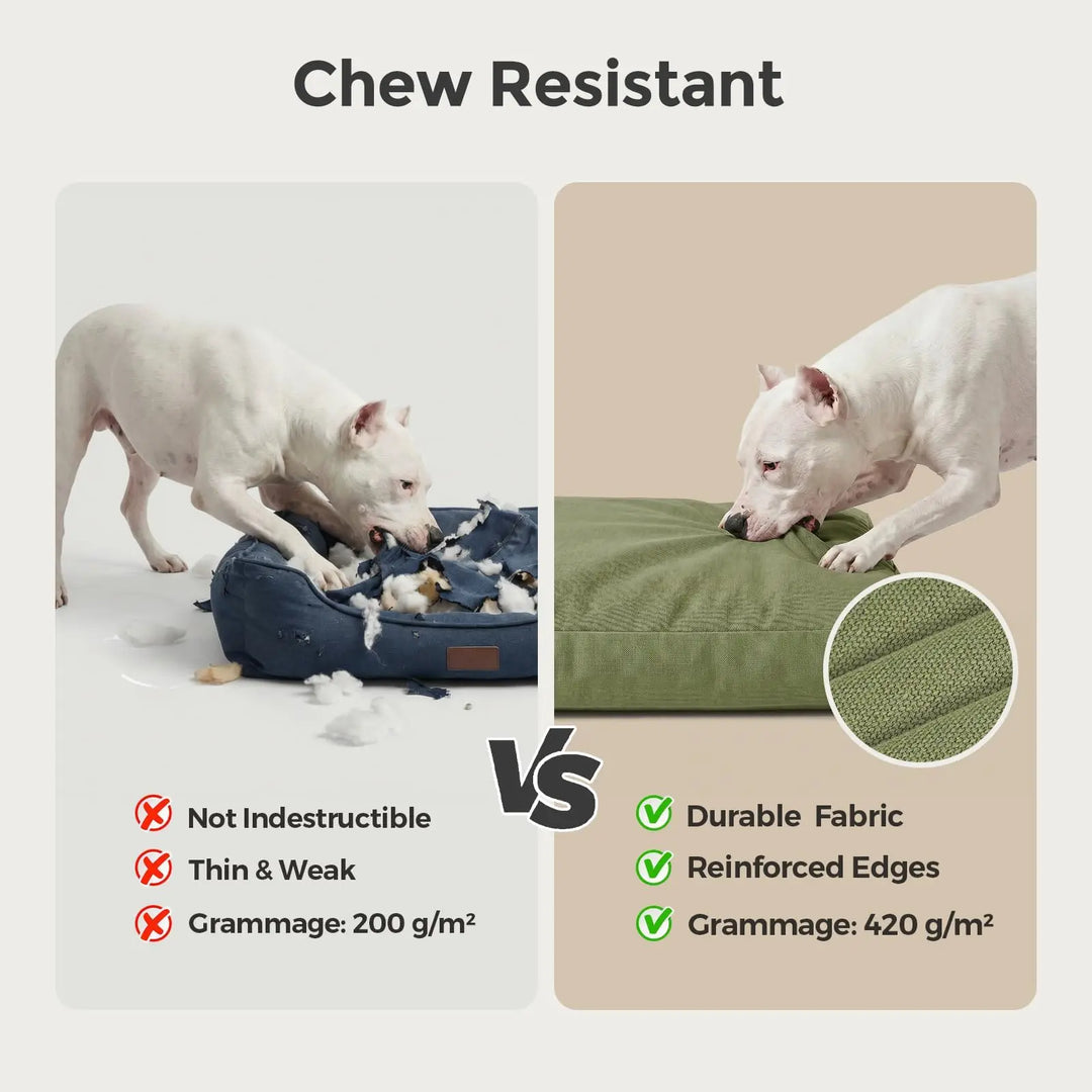 42 Inch Green Canvas Dog Bed with Removable Cover