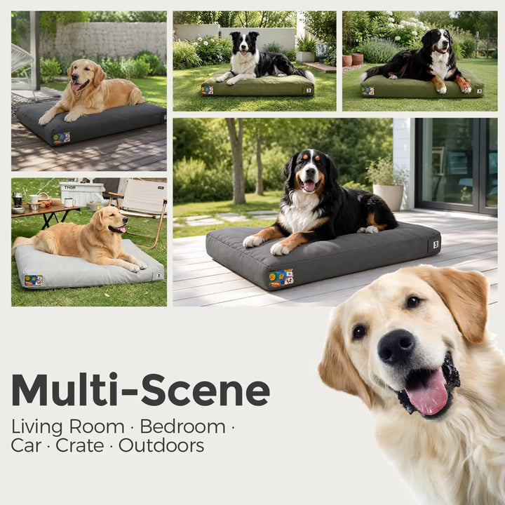42 Inch Green Canvas Dog Bed with Removable Cover