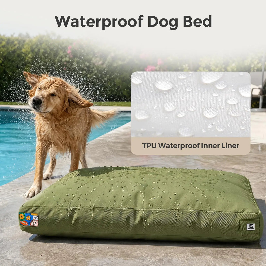 42 Inch Green Canvas Dog Bed with Removable Cover