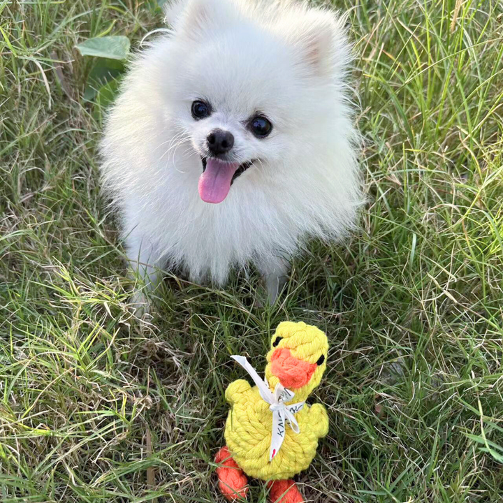 Sunny the Yellow Duck Rope Toy-2