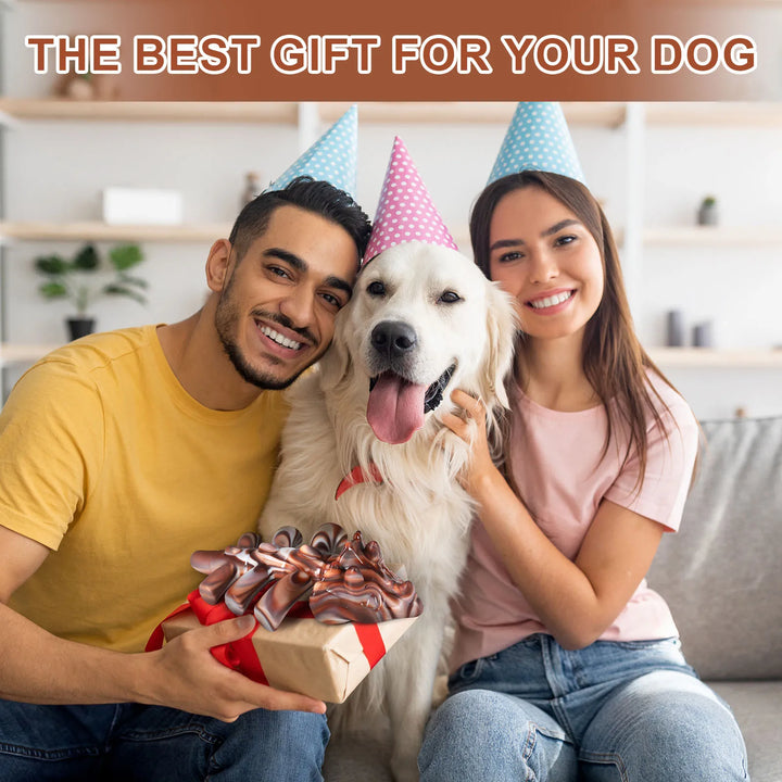 Beef Flavor Dog Chew Toy Lobster and Rabbit Shapes