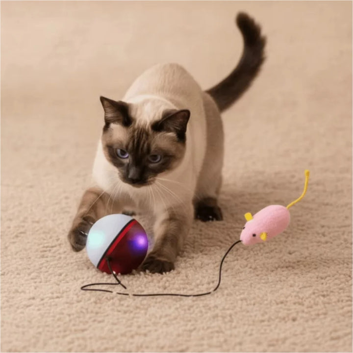 USB Rechargeable Interactive Cat Ball with Motion Sensor