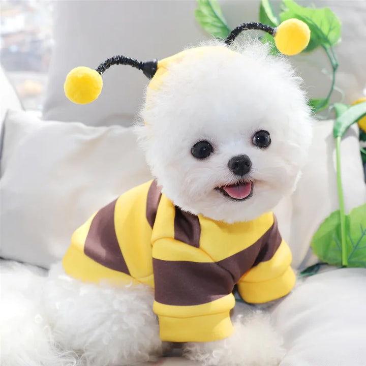 Yellow Bee Pet Hoodie – Fleece Dog & Cat Costume for Halloween, Cosplay & Winter Warmth