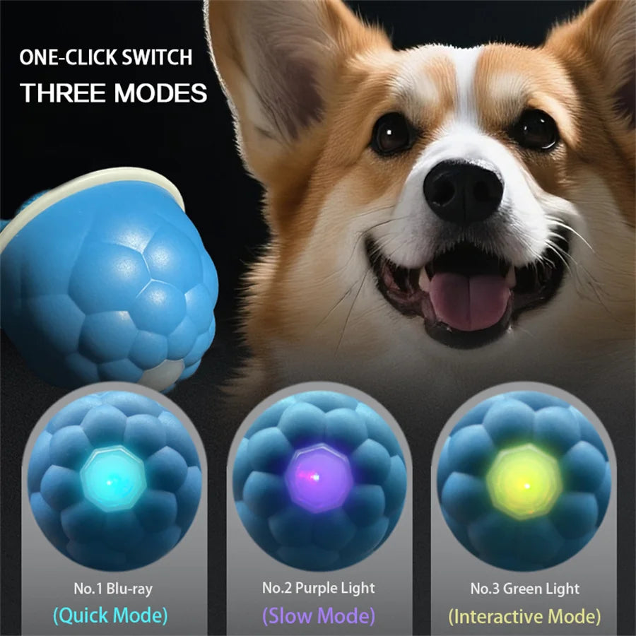 Smart Self-Rolling Electric Dog Ball with Sound Toy