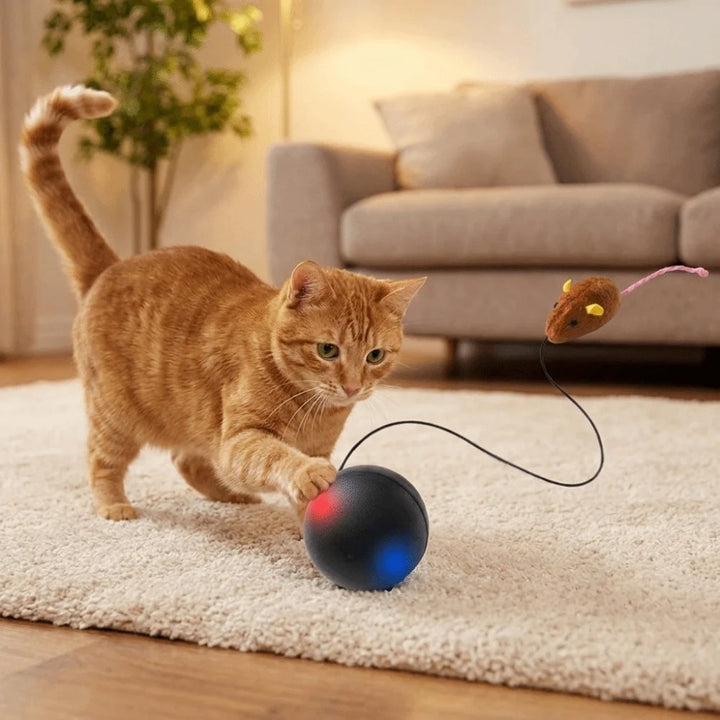 USB Rechargeable Interactive Cat Ball with Motion Sensor