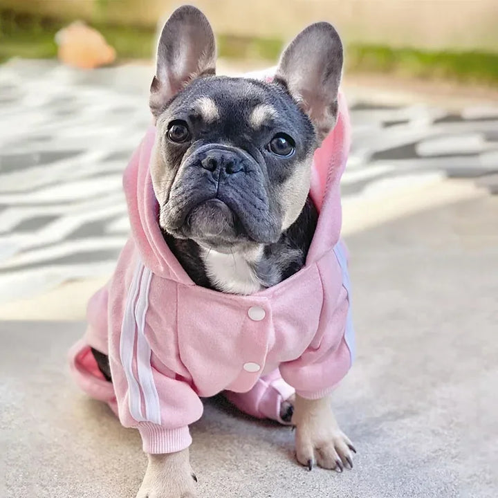 Pet Jumpsuit for Small & Medium Dogs – Cozy Puppy Outfit