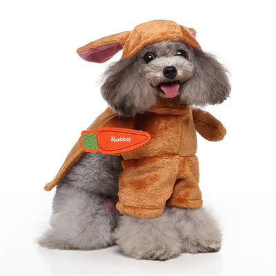 Funny Holliday Pet Costumes