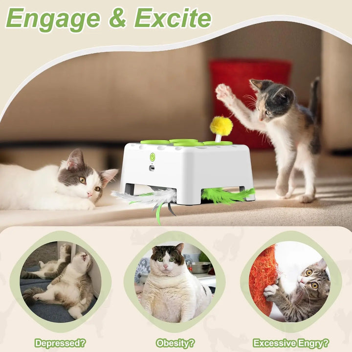 Rechargeable Whack a Mole Interactive Cat Toy for Pets