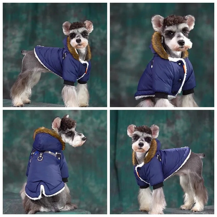 Pet Dog Clothes Winter Warm Waterproof Jacket For Small Dogs