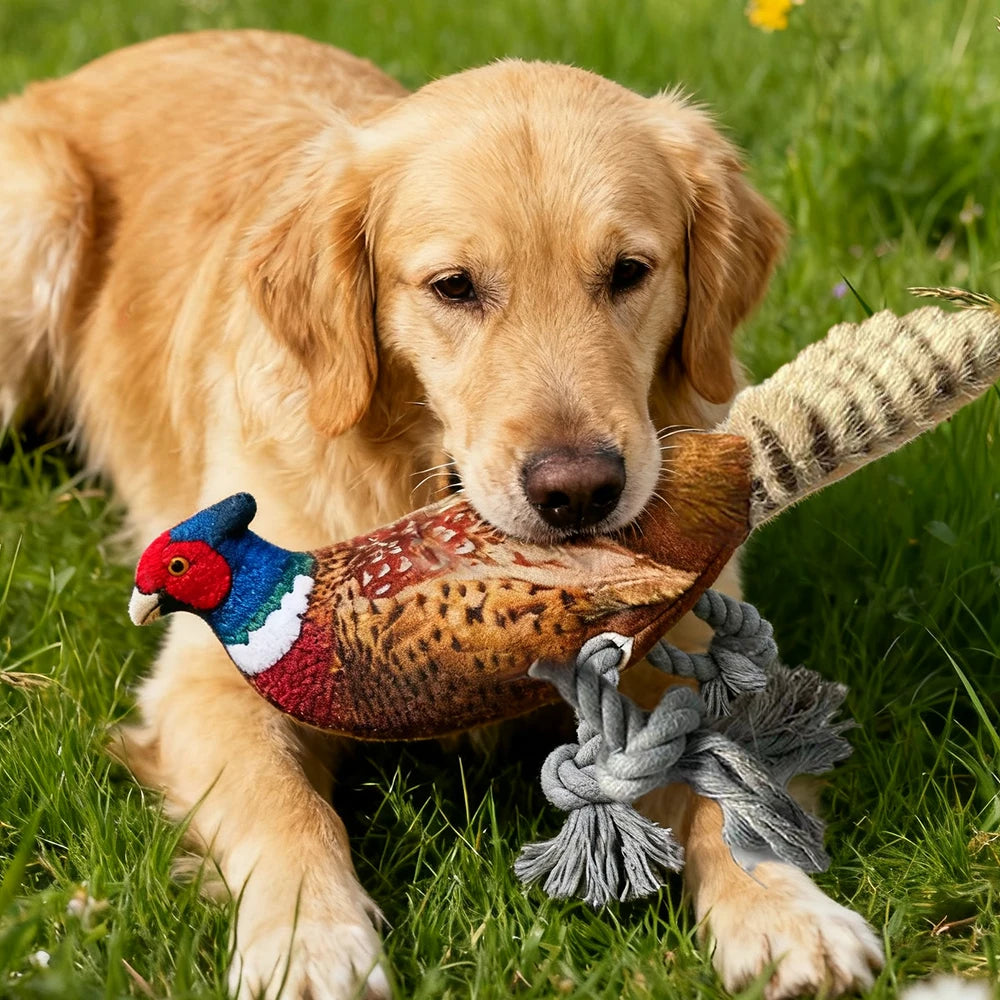 Colorful Pheasant Plush Squeaky Toy for Cats and Dogs