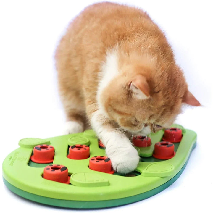 Interactive Cat Puzzle Slow Feeder Toy and Treat Board