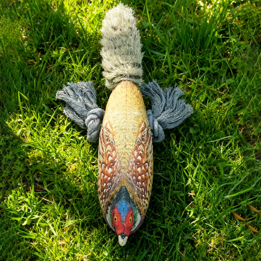 Colorful Pheasant Plush Squeaky Toy for Cats and Dogs