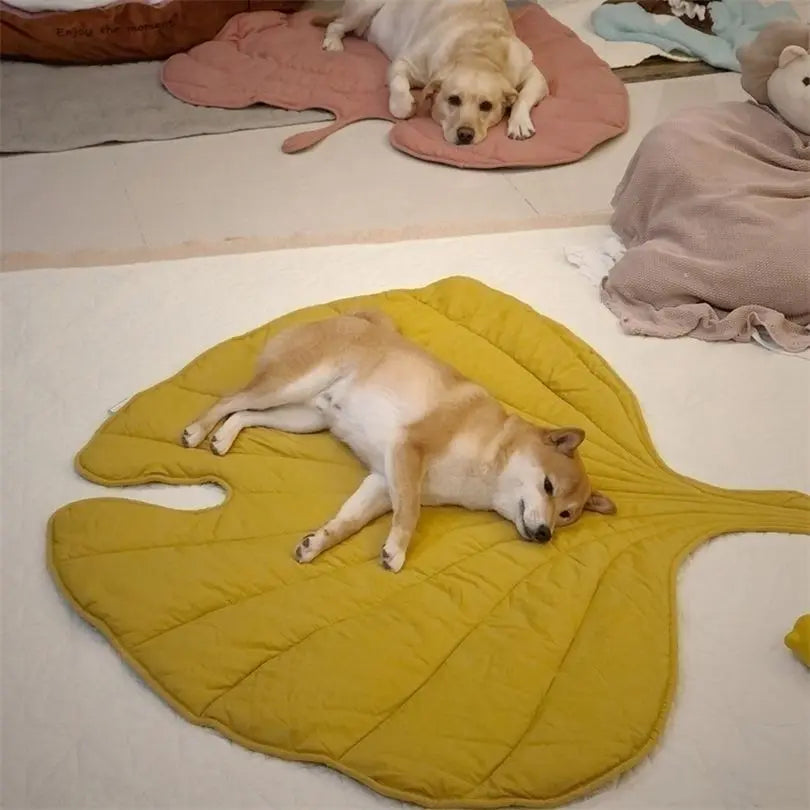 Breathable Pet Dog Bed Washable For Small Medium Large Dogs Car