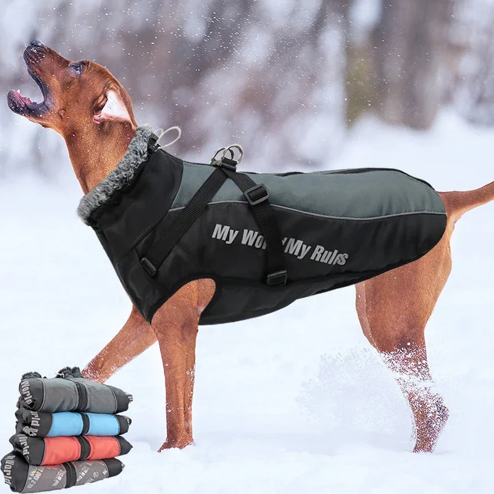 Waterproof - Winter Dog Coat With Harness