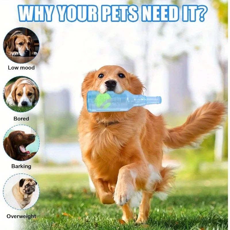 Squeaky Water Bottle Dog Toy for Interactive Chewing