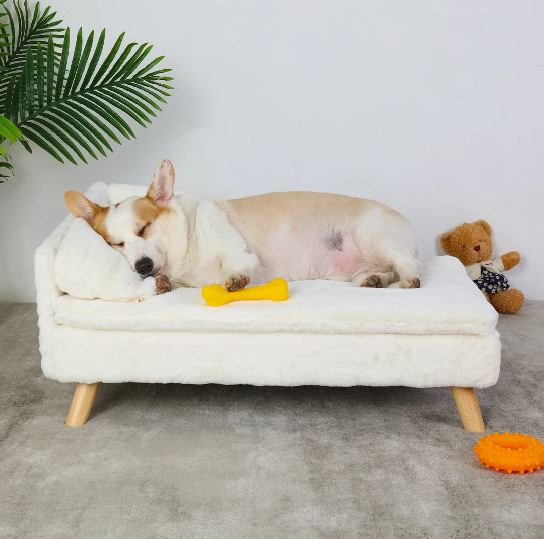 Elegant L-Shaped Pet Couch with Soft Cushion & Solid Wood Legs