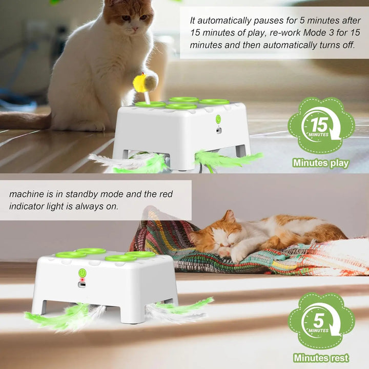 Rechargeable Whack a Mole Interactive Cat Toy for Pets
