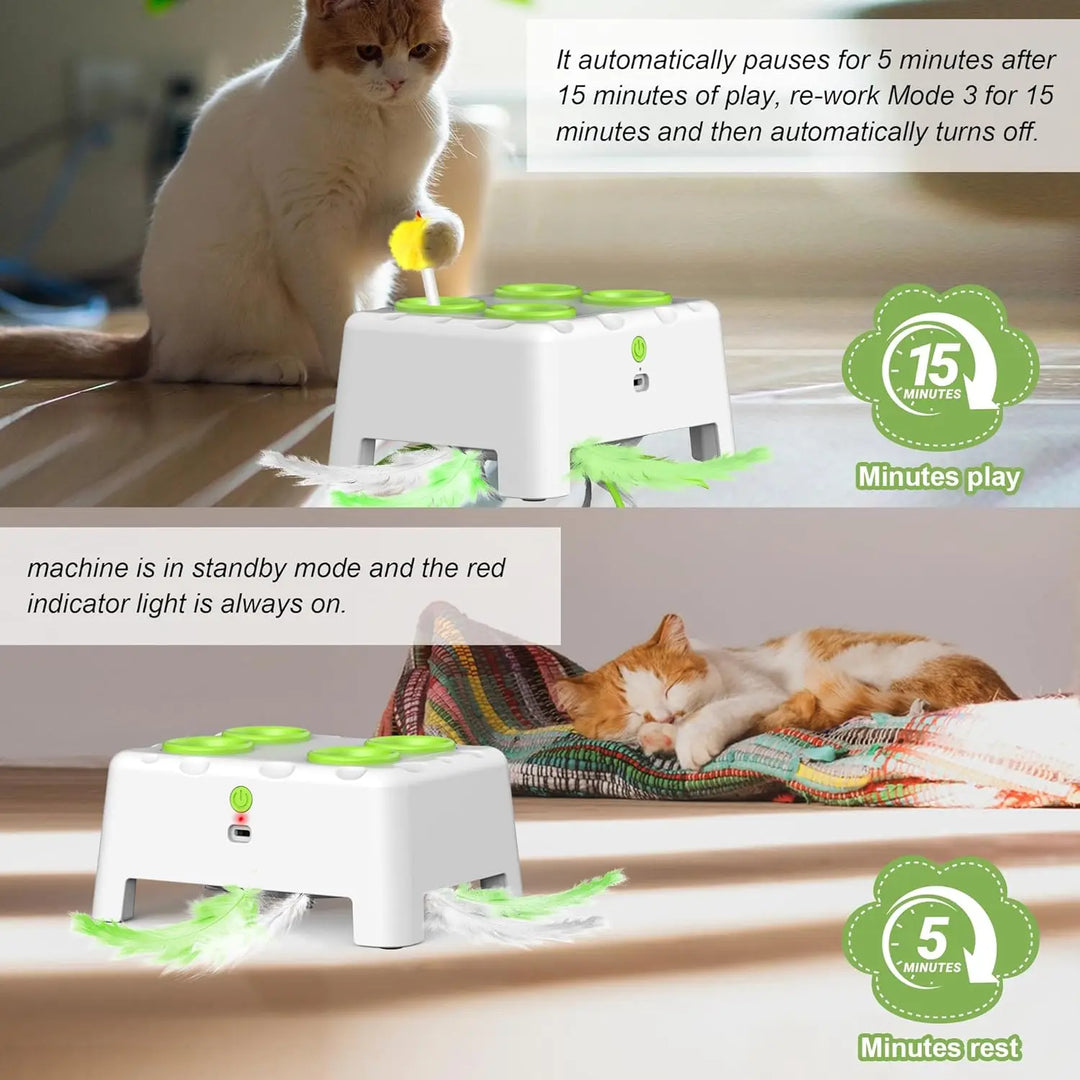 Rechargeable Whack a Mole Interactive Cat Toy for Pets