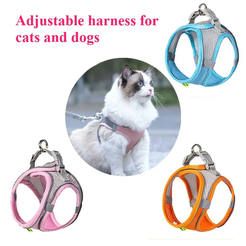 Squeaky Water Bottle Dog Toy for Interactive Chewing