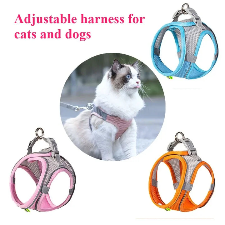 Squeaky Water Bottle Dog Toy for Interactive Chewing
