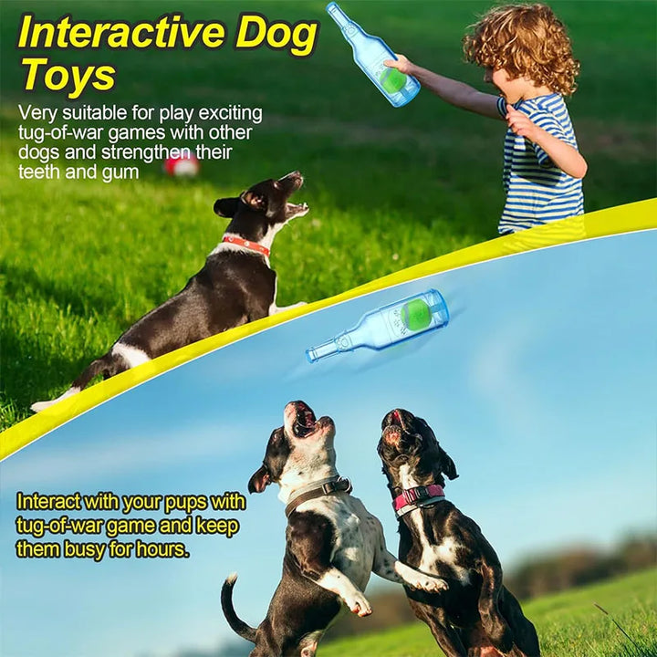 Squeaky Water Bottle Dog Toy for Interactive Chewing